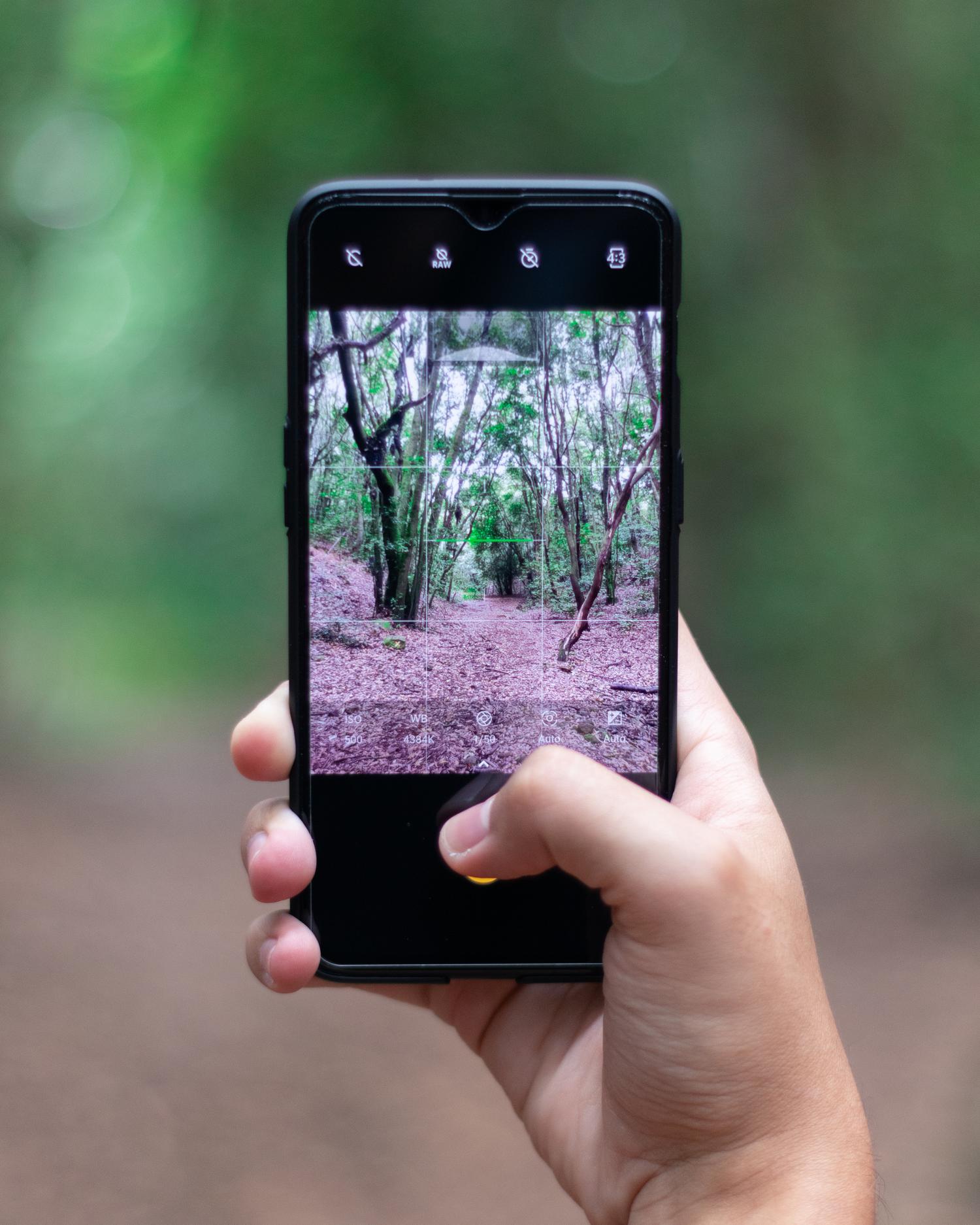 16_oneplus_guesus